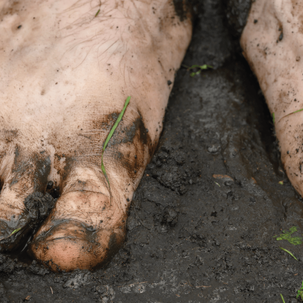 Do You Know What Melioidosis Is?