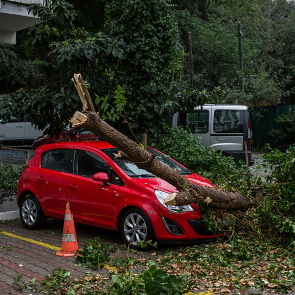 Tips to Protect Your Car Before a Hurricane